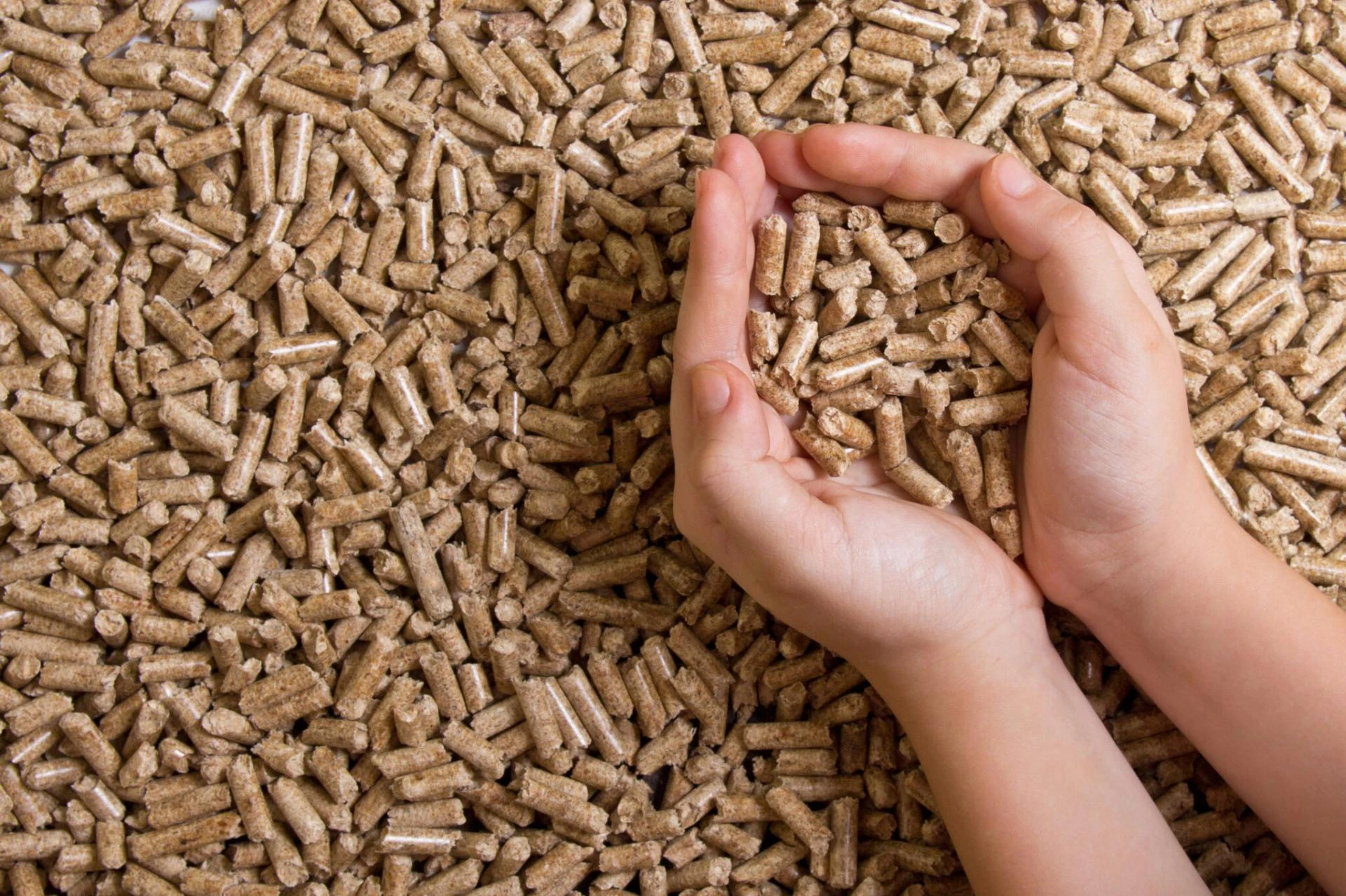 Biomass utilisation in the power sector is expected to nearly triple this financial year to 2.5 million tonnes - zenith