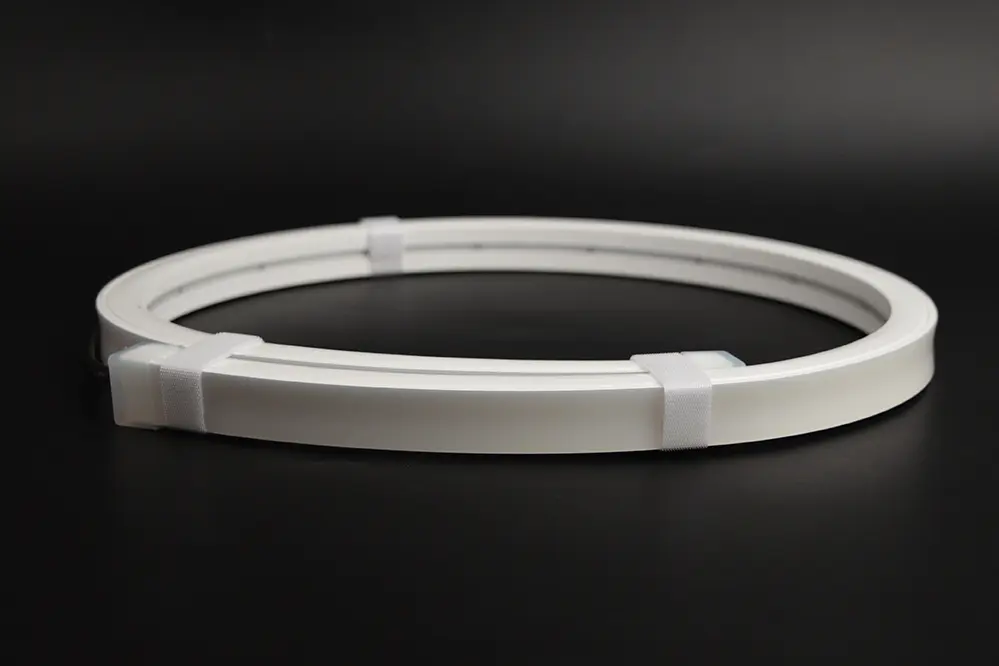 The Revolution in Light