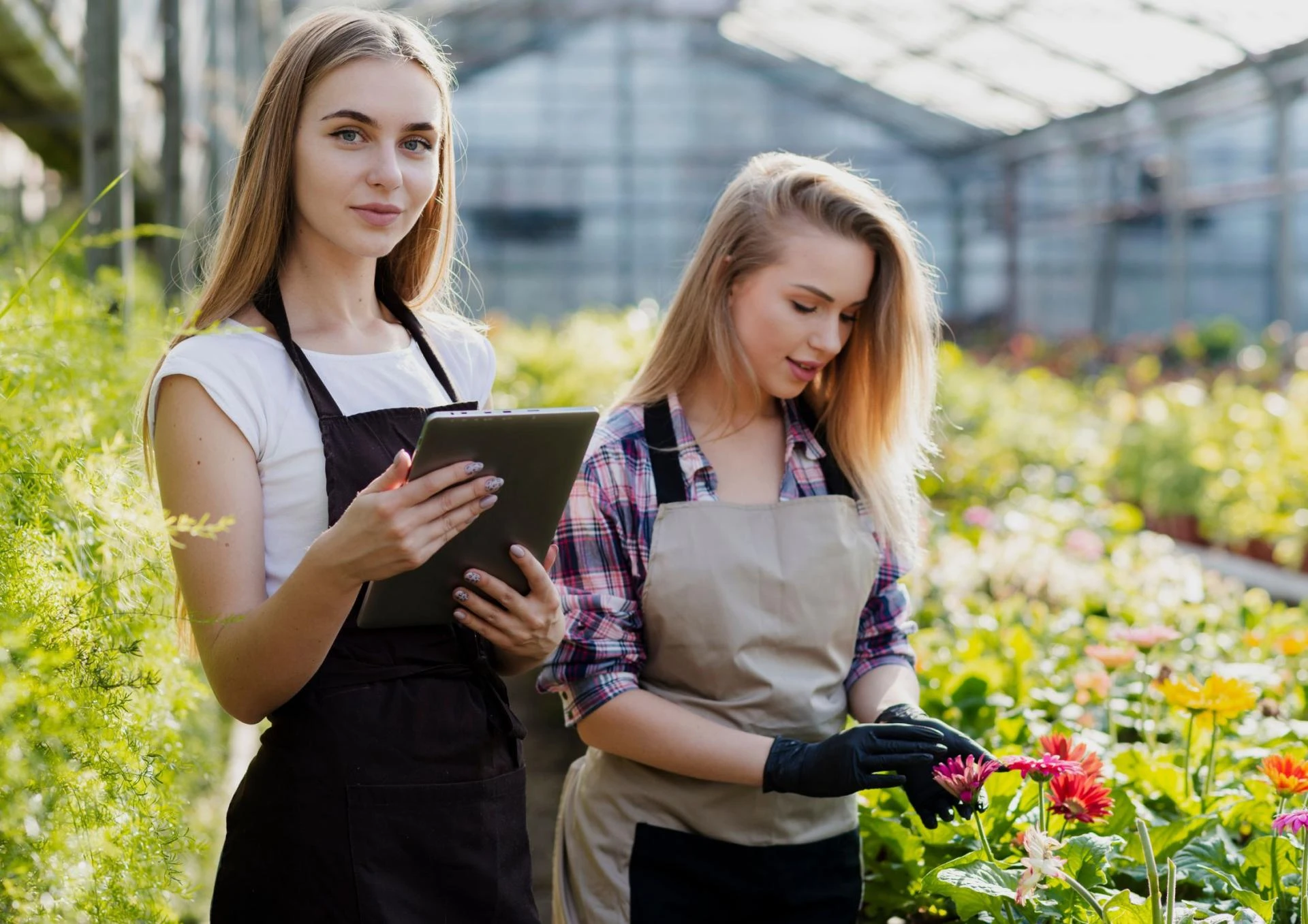 Best College For B.Sc. (Hons.) Agriculture Admission 