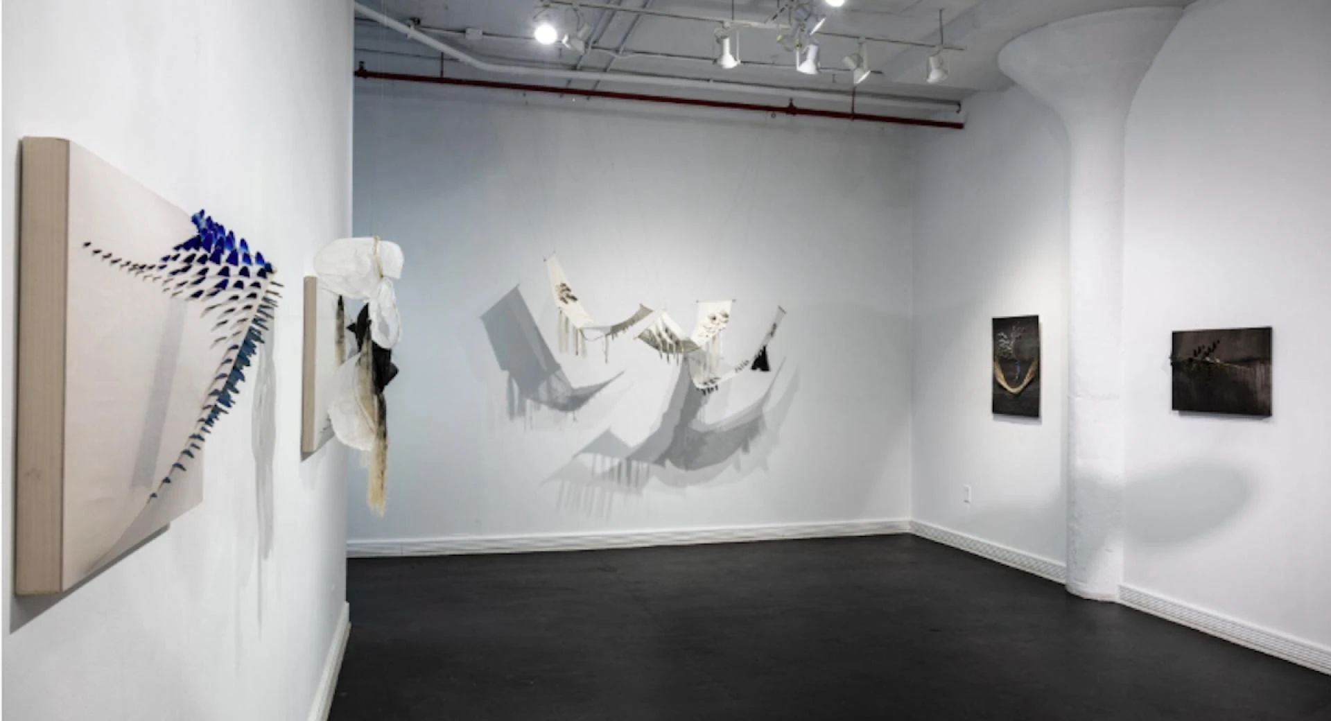 Where Fractal Geometry Meets Fashion and Art in New York