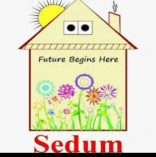 Draft: My Post TitleNurturing Growth: How a Holistic Approach at Sedum School Fosters IndepenChilddence in Every 