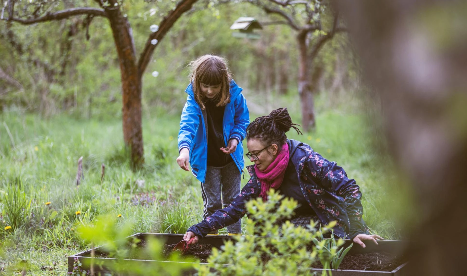 Eco-Healing: Transform Your Mind with Nature-Based Therapy