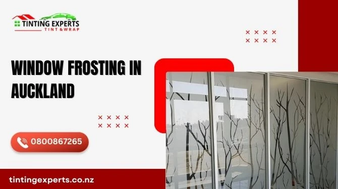 Enhance Comfort and Privacy with Premium Window Tinting in Auckland