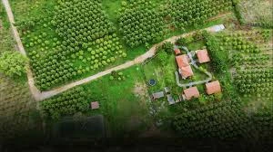 Plots at Chikkaballapur – Invest in Serenity and Growth with Hosachiguru’s Unnati Project