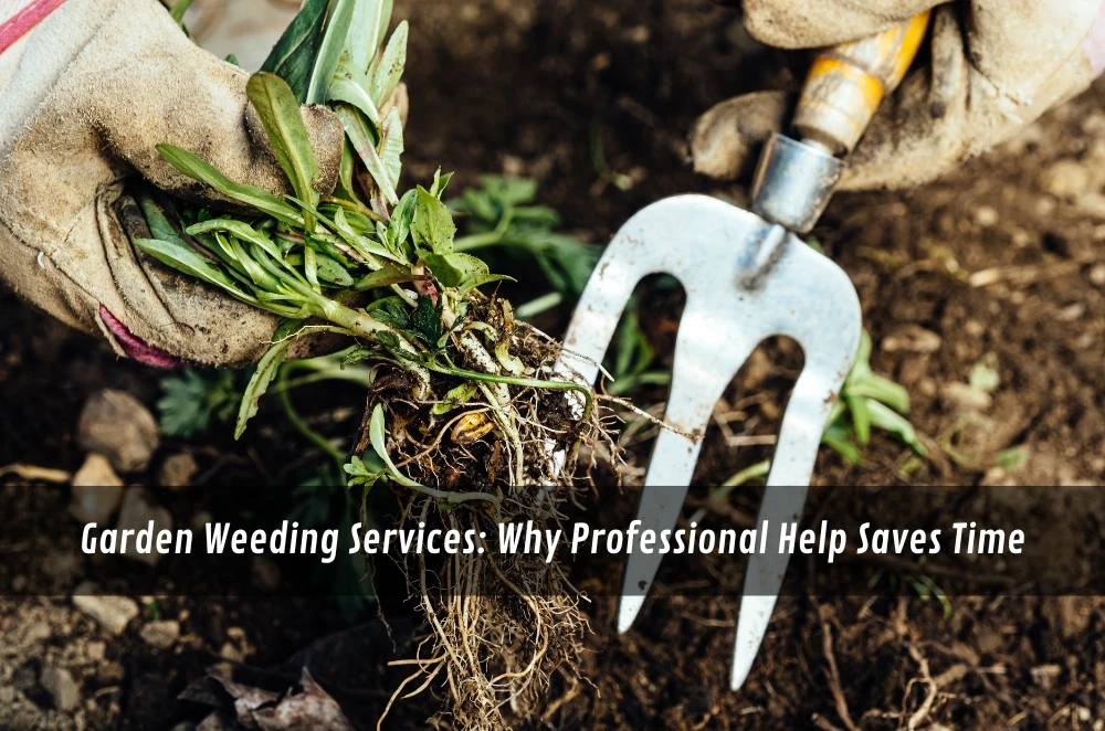 Garden Weeding Services: Why Professional Help Saves Time
