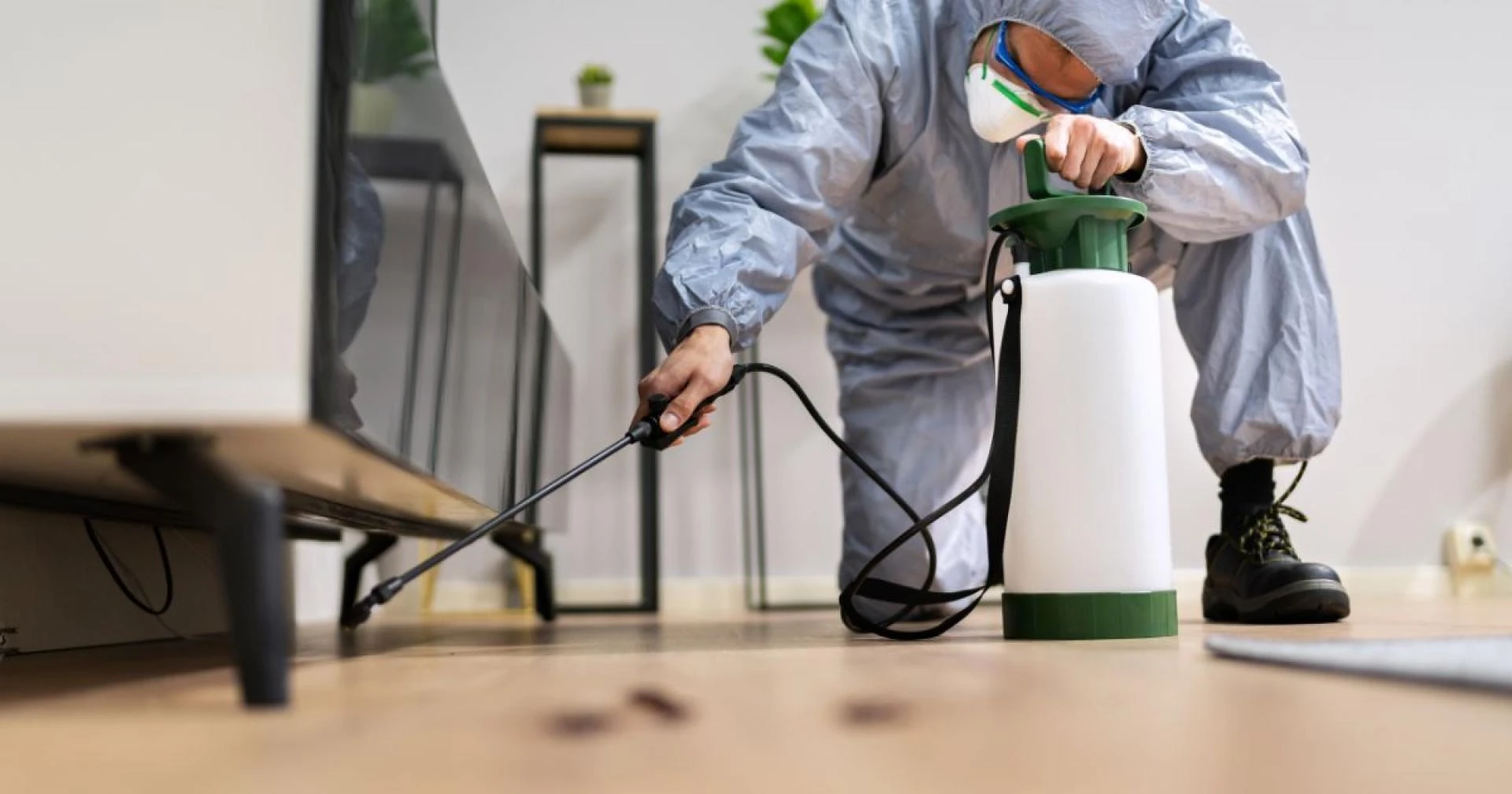 Keep Your Home Safe and Pest-Free with Trusted Local Pest Control Experts