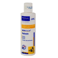 Know the Safe and Effective Deworming Medications for Cats