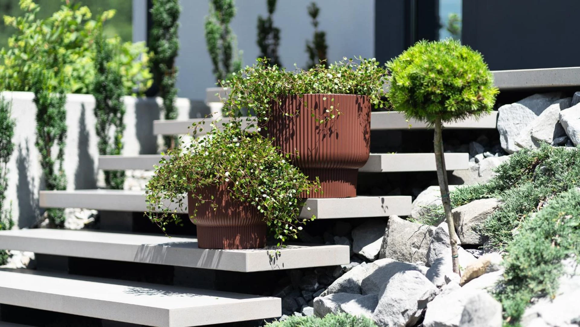 Producent wyrobów plastikowych – Prosperplast: nowoczesne rozwiązania dla domu i ogrodu