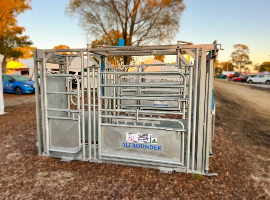 How Cattle Crushes Safeguard Handlers and Herds from Harm