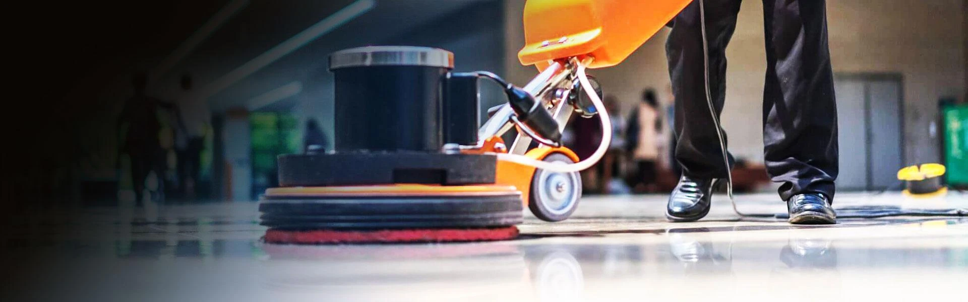 Revitalize Your Space with Expert Carpet Cleaning in North Brisbane