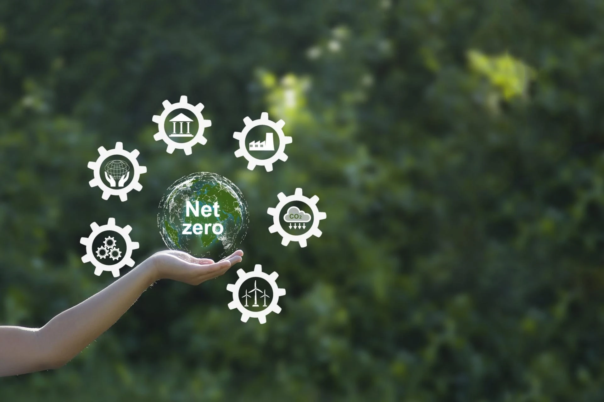 Net-Zero Carbon Emissions Guide 2025 | Zenith Energy
