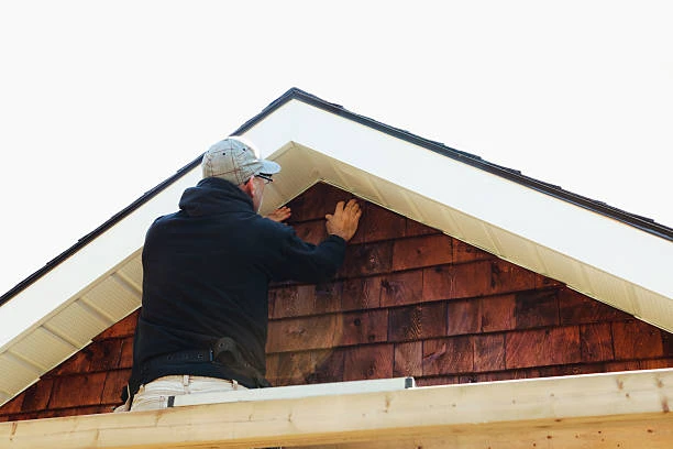 Professional roof repair solutions: Protecting your property with expert care
