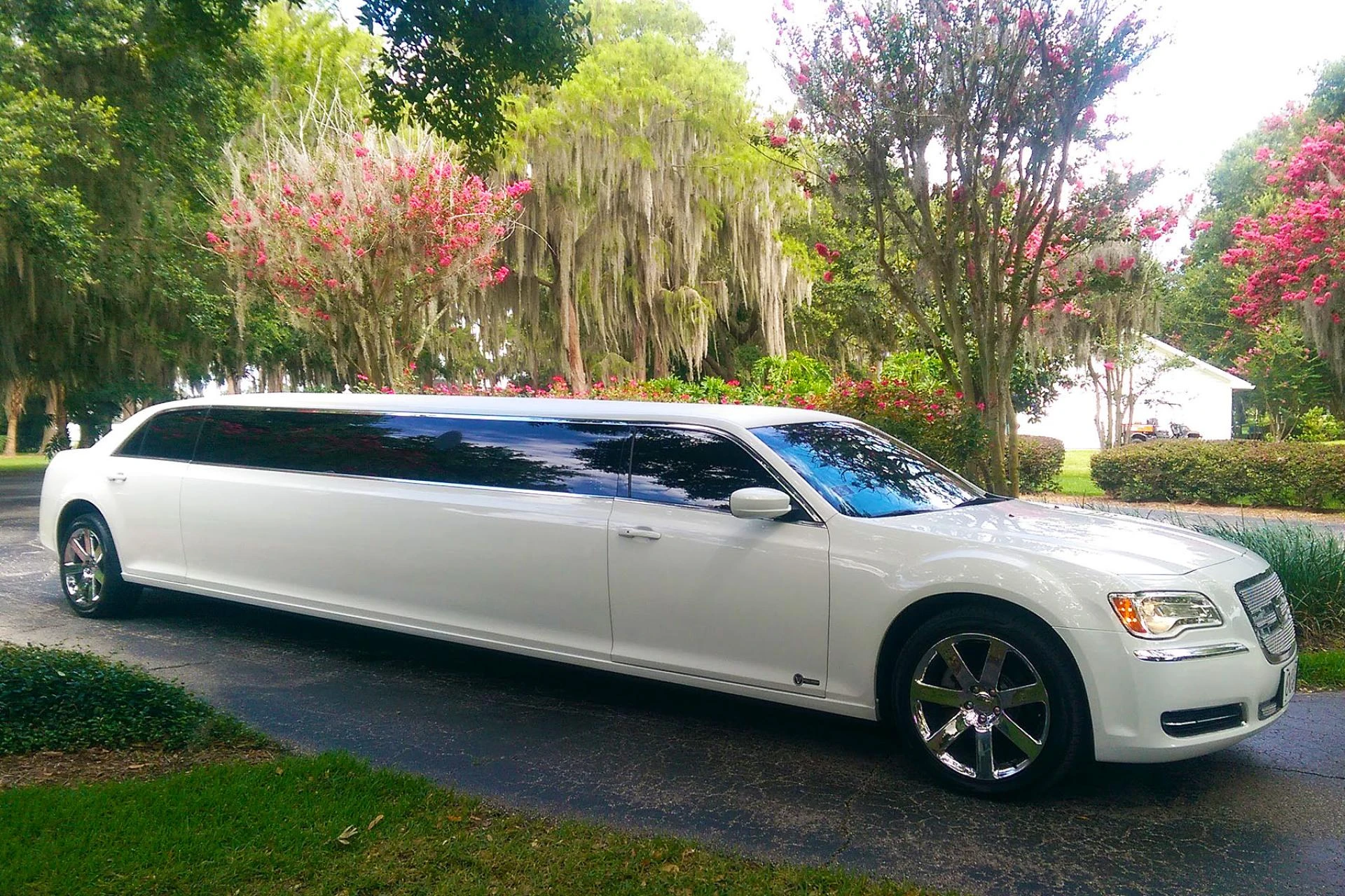 Enjoy the Limousine Experience Without the High Cost