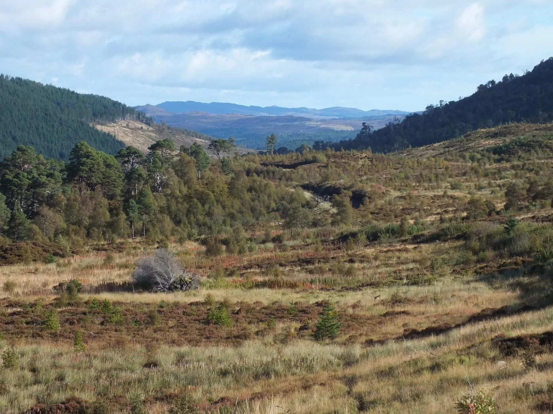 What Makes a Camping Shower Pump Worth Carrying on Your Trip?