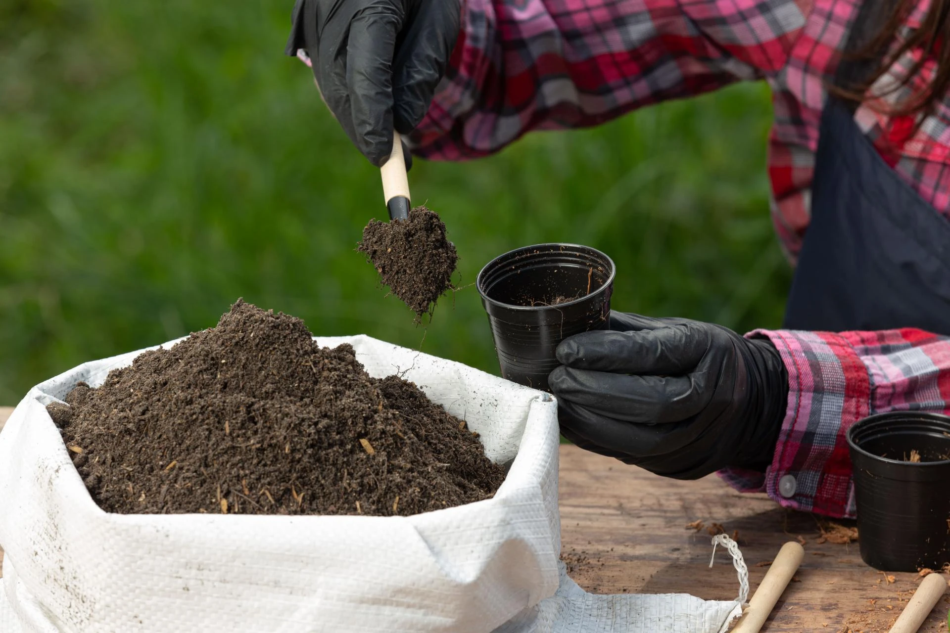 How to Collect and Send Soil Samples for Accurate Results