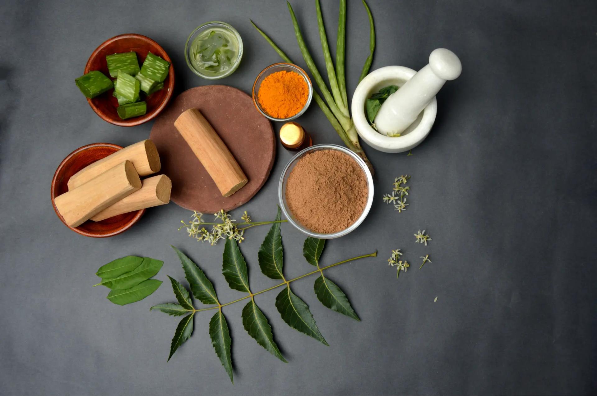 Vegan Protein Powder and Thyroid Supplements: The Perfect Combo for Modern Wellness