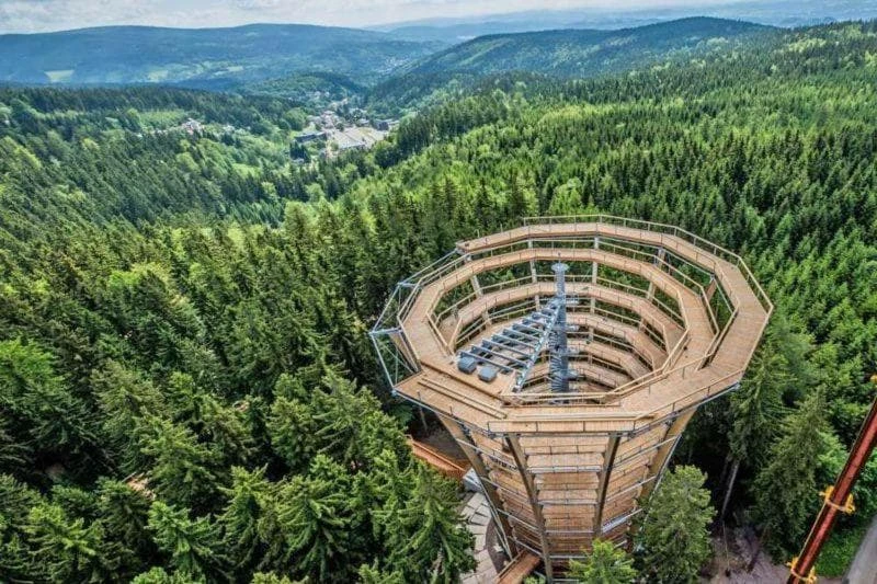 So planen Sie Ihren perfekten Tag am Baumwipfelpfad Bad Wildbad