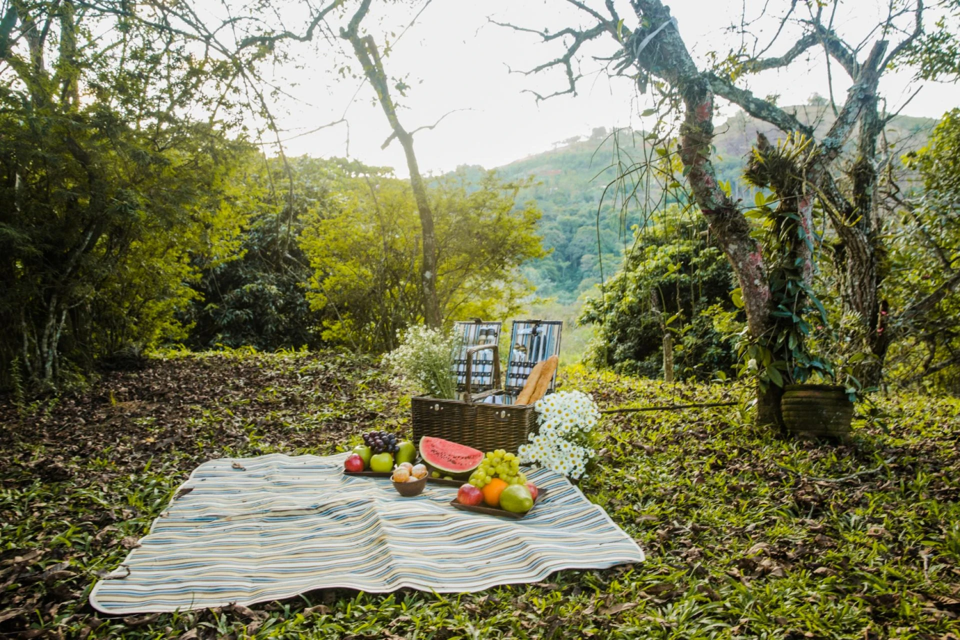 Picnic Spots Near Satara: Your Ultimate Guide to Serene Escapes in Maharashtra