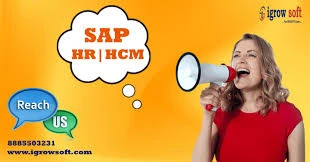What is the use of Organizational Management in SAP HR?