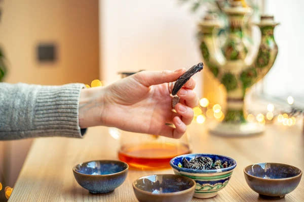 Master the Ancient Science of Rudraksha with NIDG Worldwide – Rudraksha Identification Course in Delhi