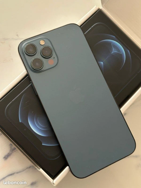 What are the common issues found in used iPhone Pro Max devices?