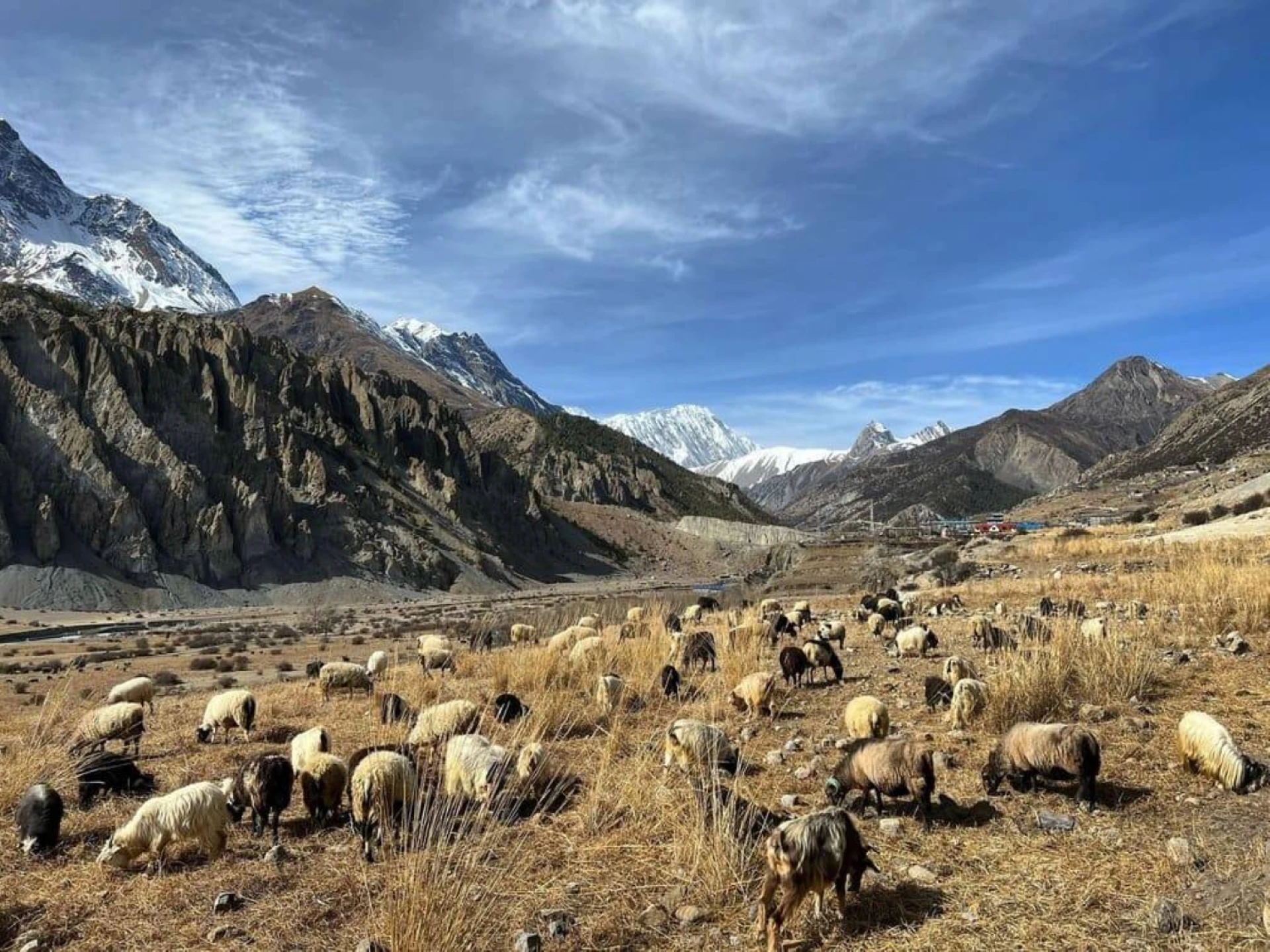 What Foreign Tourists Should Know About the Gen Z Protests in Nepal