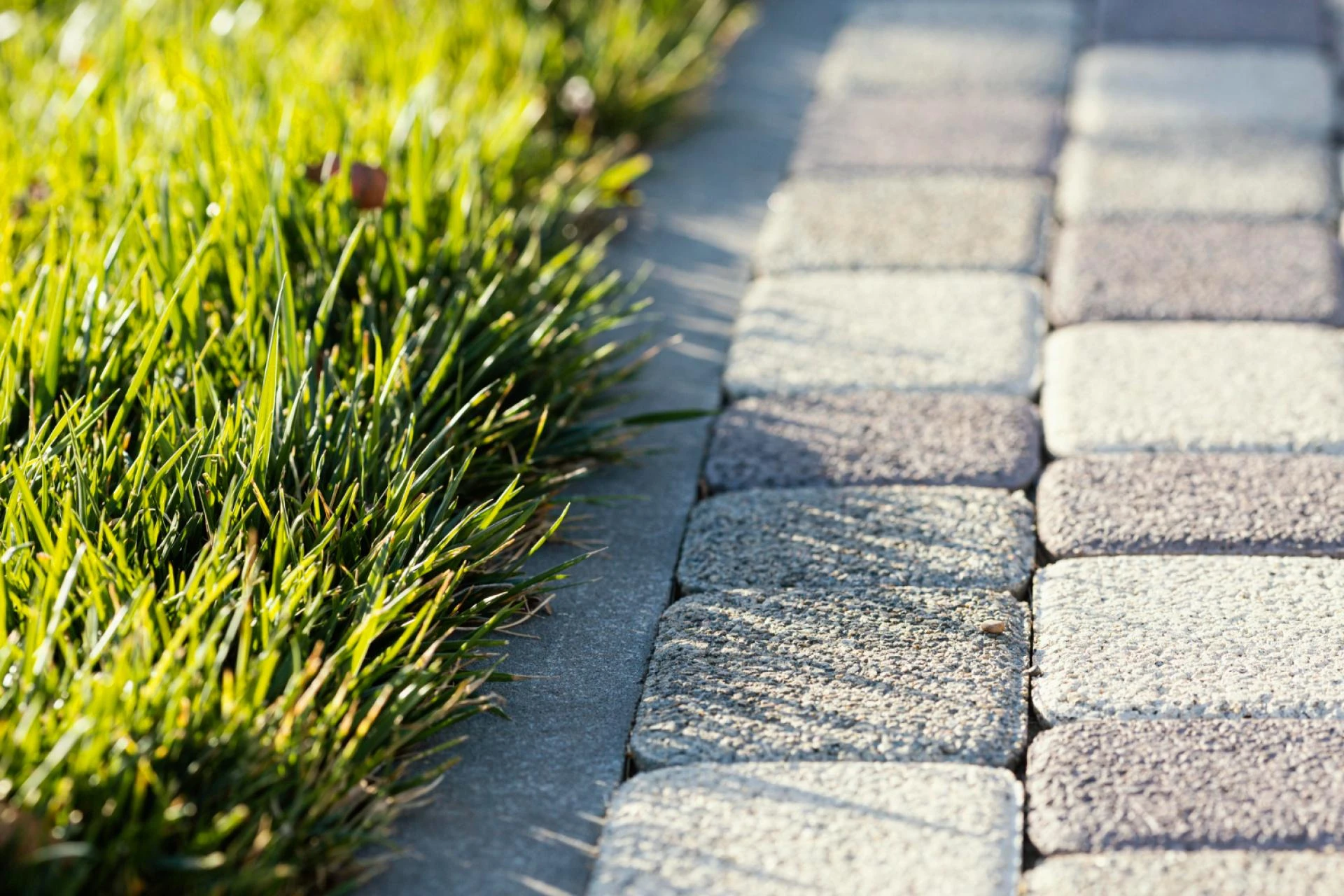 Choosing the Right Paver Installation Services for Your Landscape Project