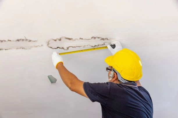 Mold Inspection in Fort Worth, TX: Your Guide to a Healthy Home