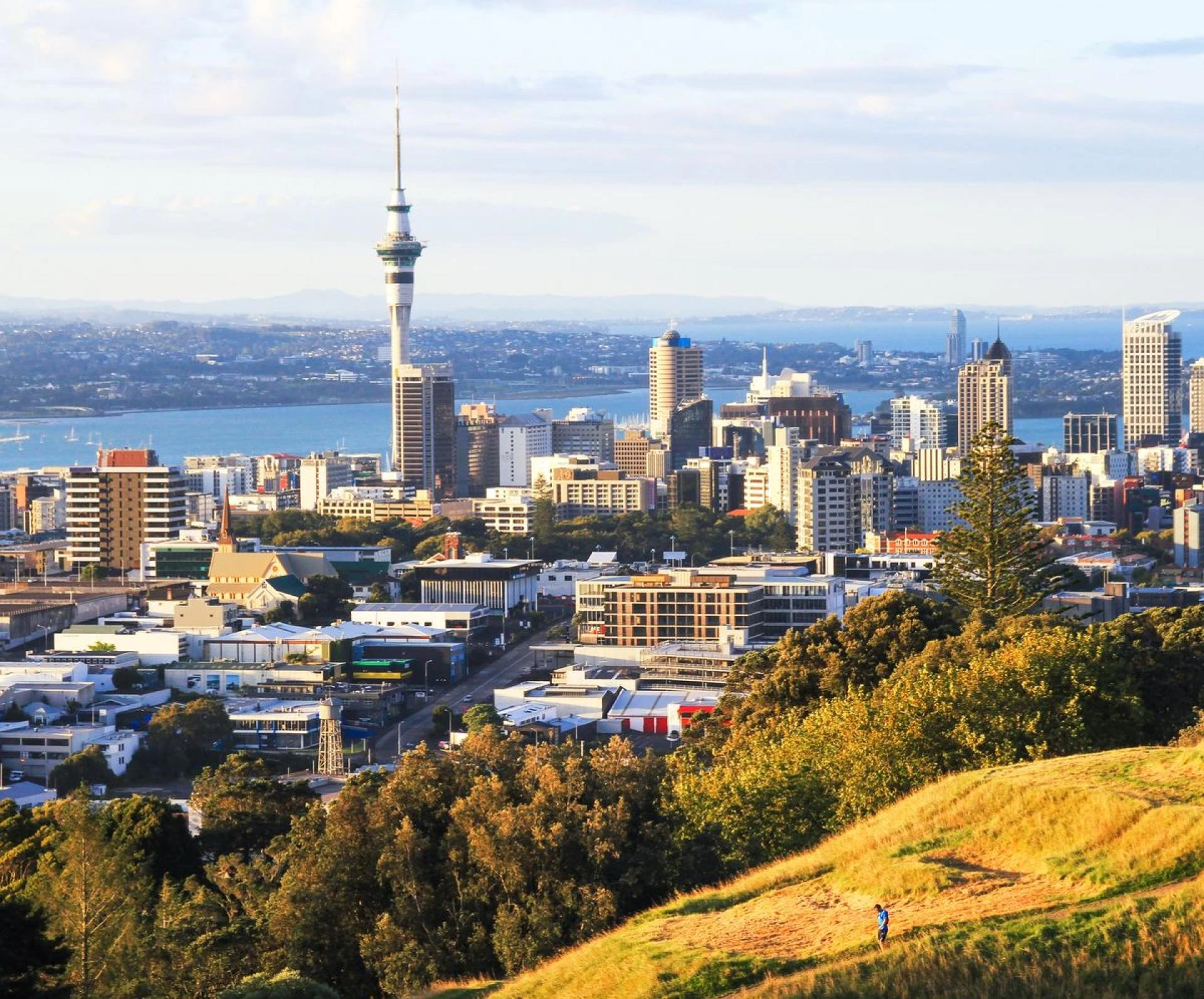 Is Working with the Best Travel Agents in Auckland the Secret to Cheap Flights Worldwide?