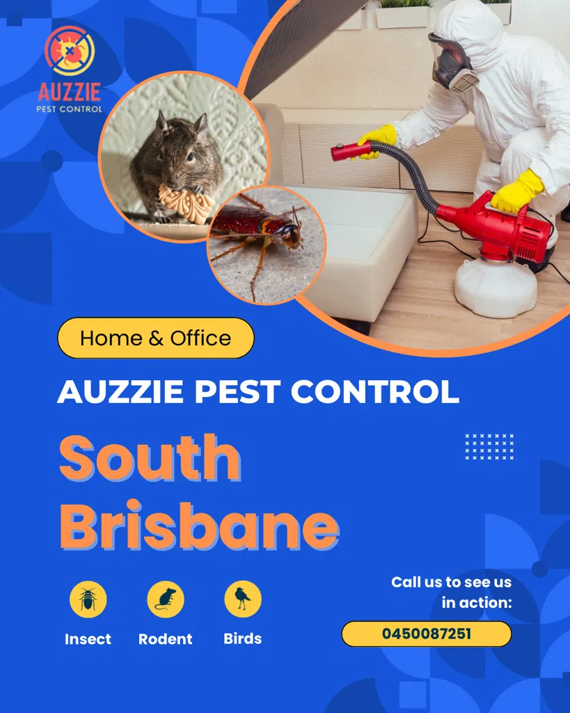 Pest Control and Termite Treatment Brisbane Southside