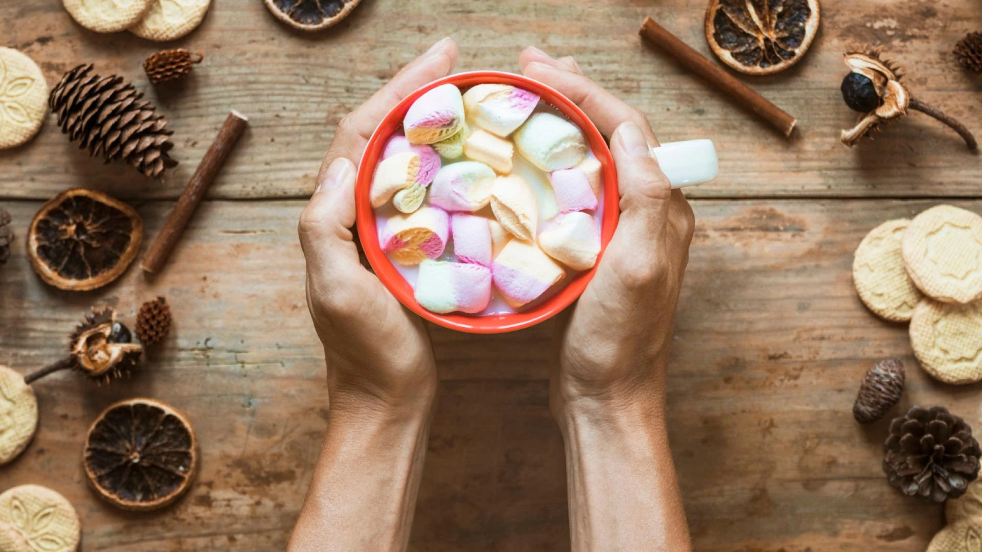 Magic Mushroom Chocolate Bars & Gummies: A Delicious Path to Mindful Transformation