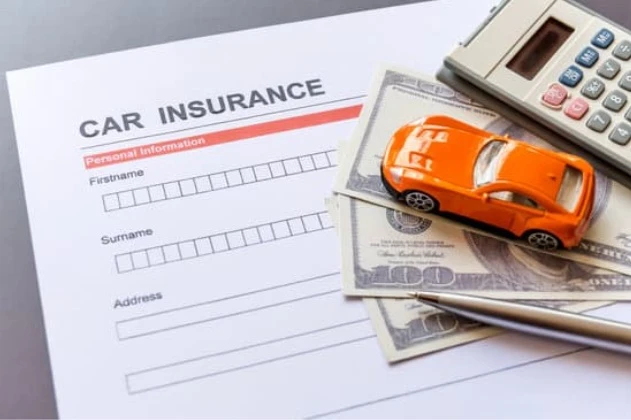 Affordable Auto Insurance Options in Miami, Florida
