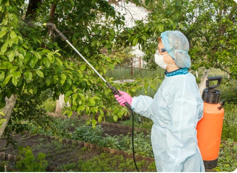 Your Business Deserves the Best – 417 Pest Solutions Delivers Springfield Protection