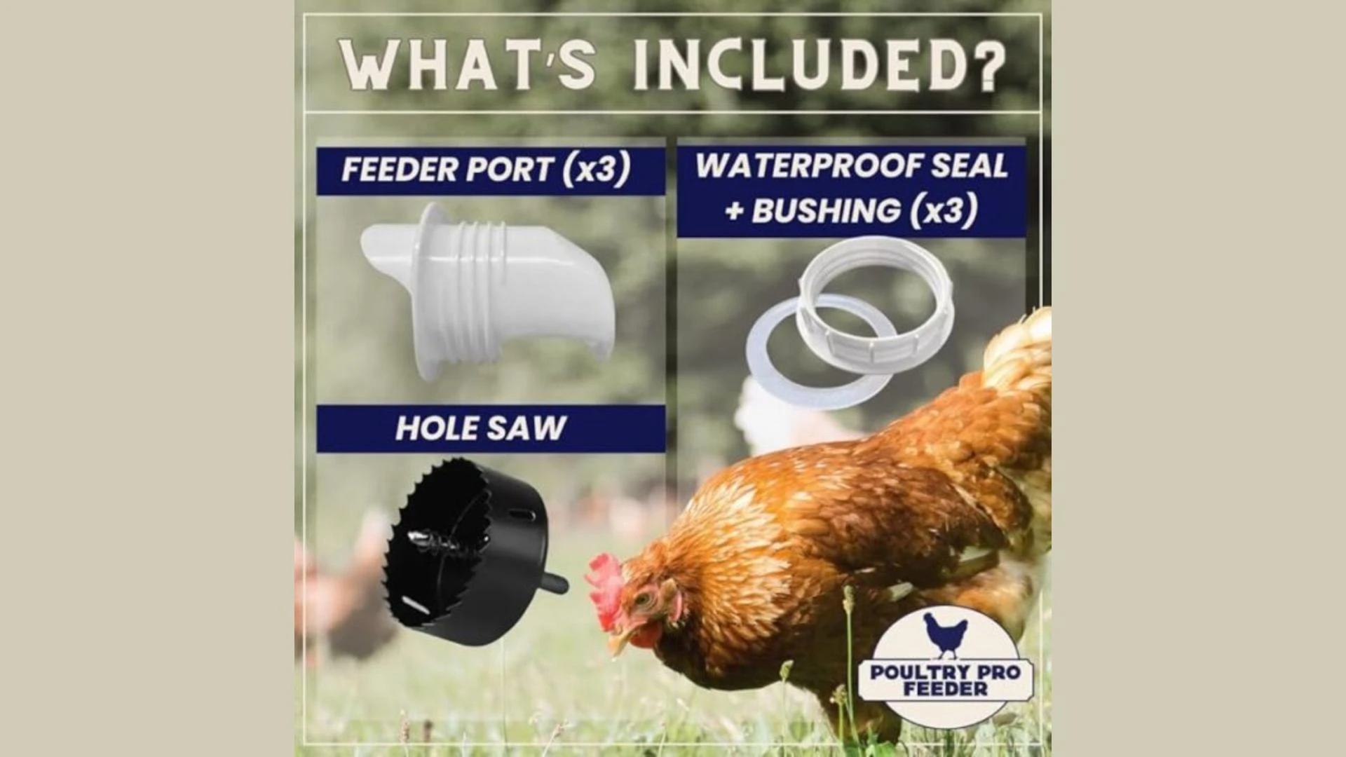  Why An Automatic Chicken Feeder Could Be Your Best Coop Upgrade Today