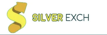 “Silverbhai: Redefining Digital Convenience and Smart Connectivity”