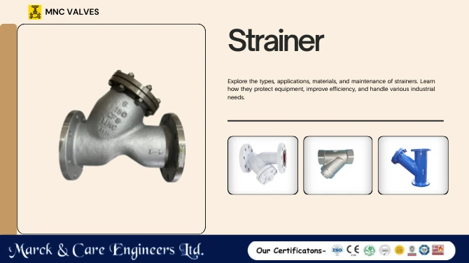 Strainers Valve Manufacturers in Ahmedabad, India | MNC Valves