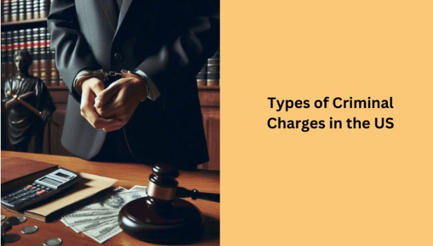 6 Types of Criminal Charges in the US