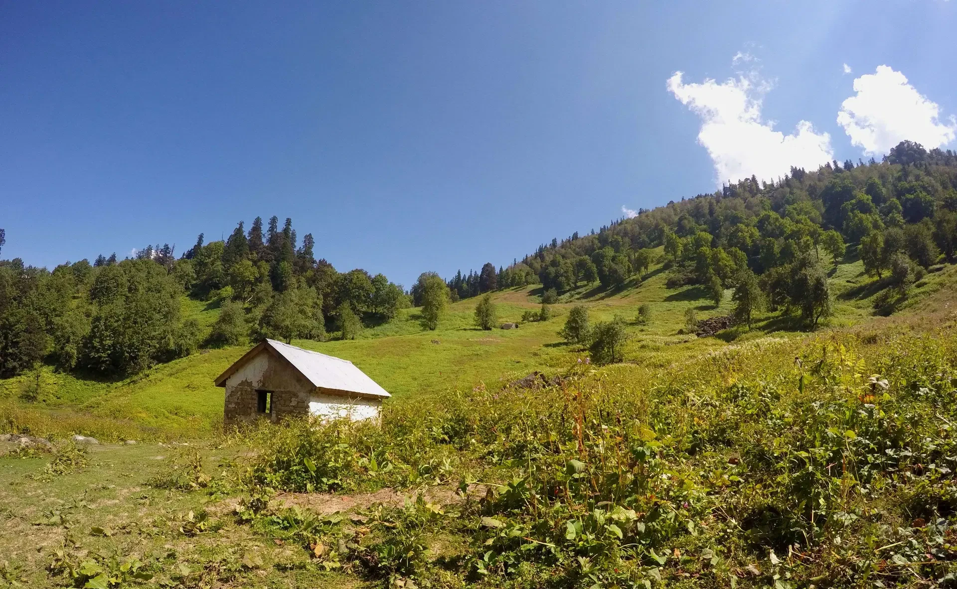 Top Reasons to Choose Bike Rental Dharamshala for Your Next Trip