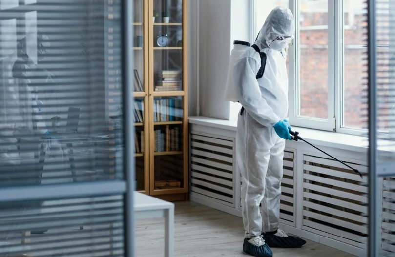 Don’t Let Mold Take Over: Kalispell’s Go-To Experts for Safe, Smart Mold Removal