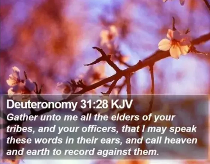 Deuteronomy 31:28 Meaning, Context & Commentary