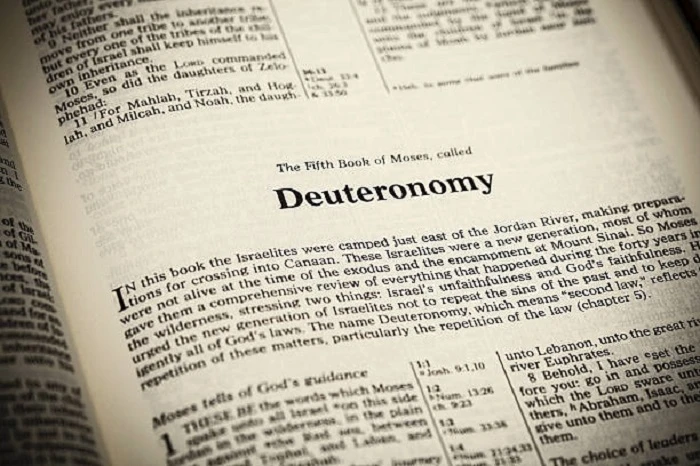 What Does the Book of Deuteronomy Teach About Prosperity?