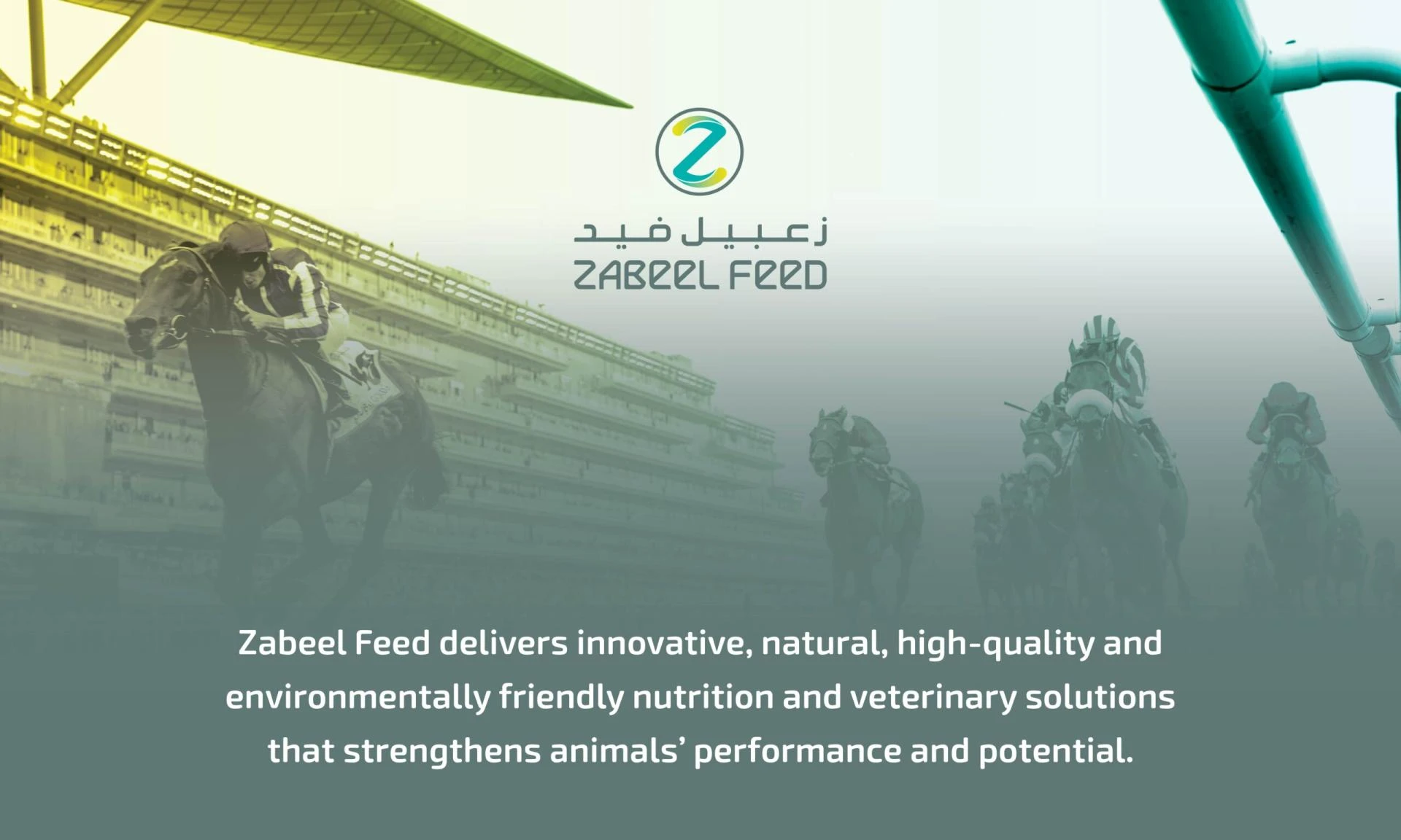 The Importance of Balanced Nutrition in Animal Feed for Optimal Health and Growth