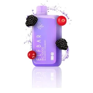 Explore India’s Best Disposable Vape Store – Premium Vaping with Elf Vape India