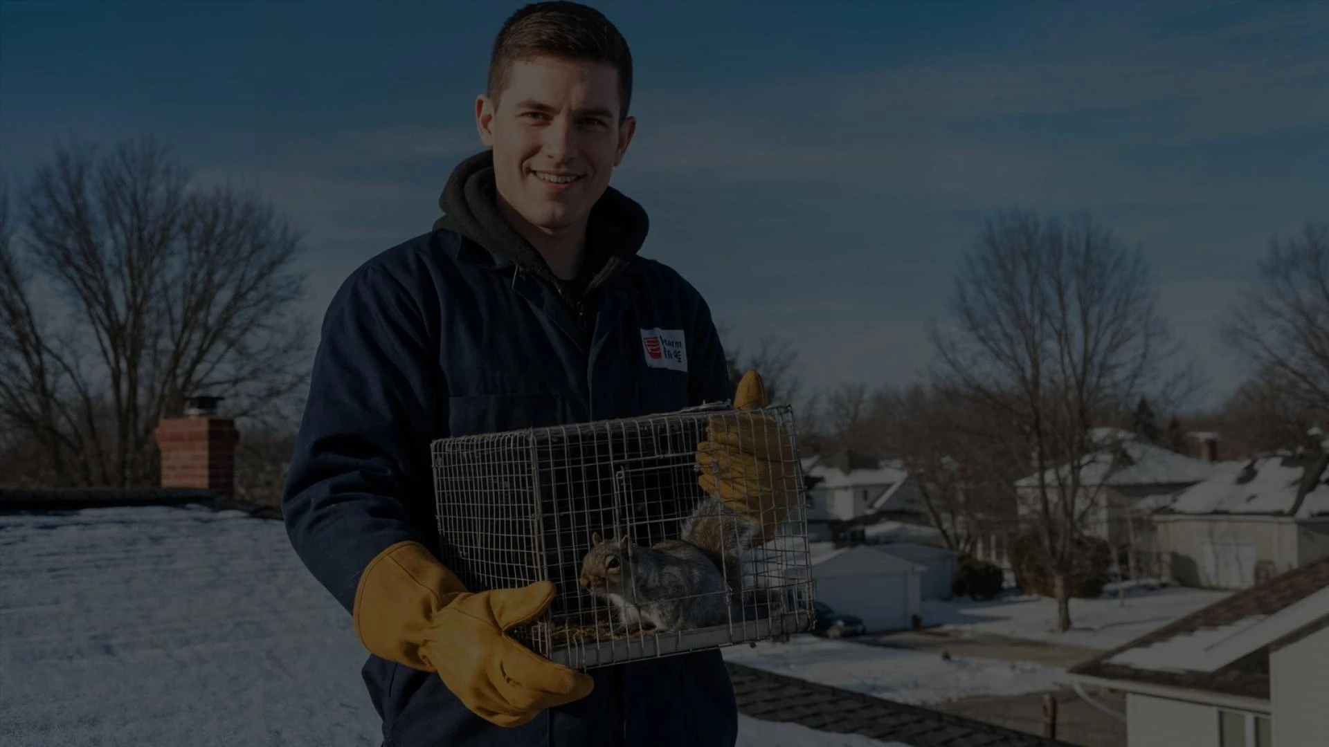 Commercial Pest Control Services Protect Your Business Now