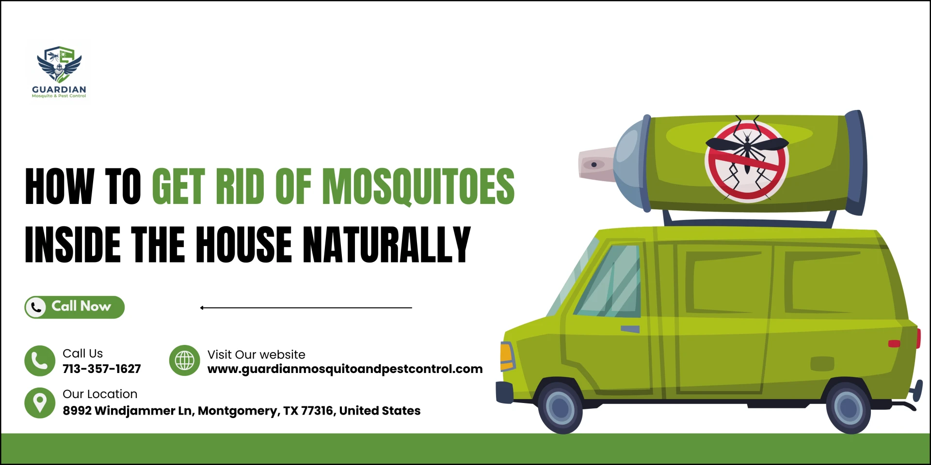 How to Get Rid of Mosquitoes Inside the House Naturally
