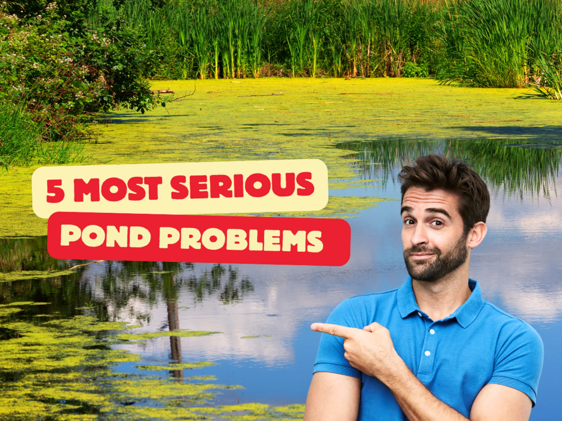 5 Most Serious Pond Maintenance Problems (With Solutions)