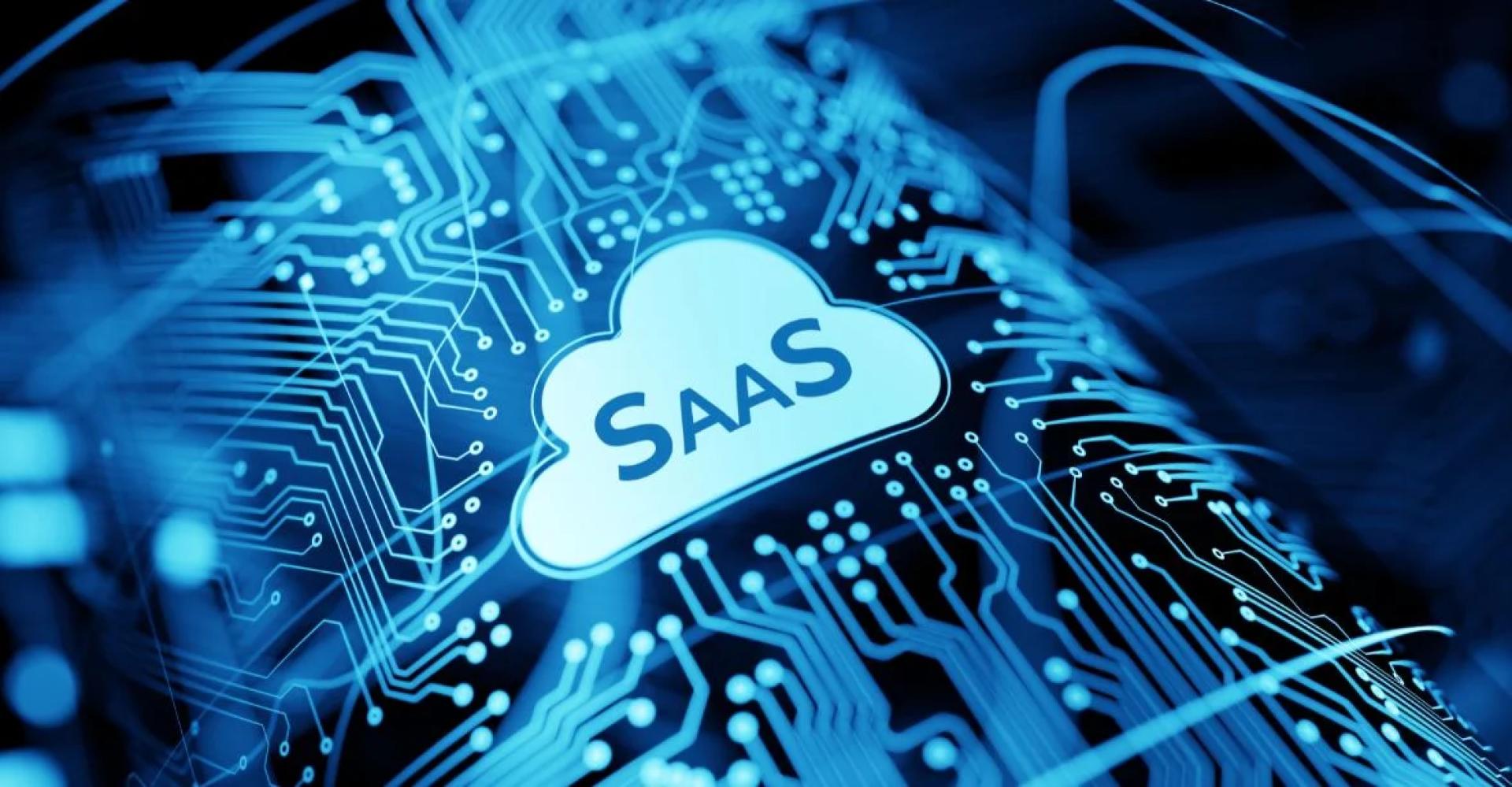 Is SaaS Saturated? Exploring the Hidden Niches of 2025