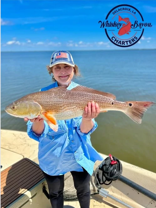 Best Times of Year for Bayou Fishing in Venice, Louisiana