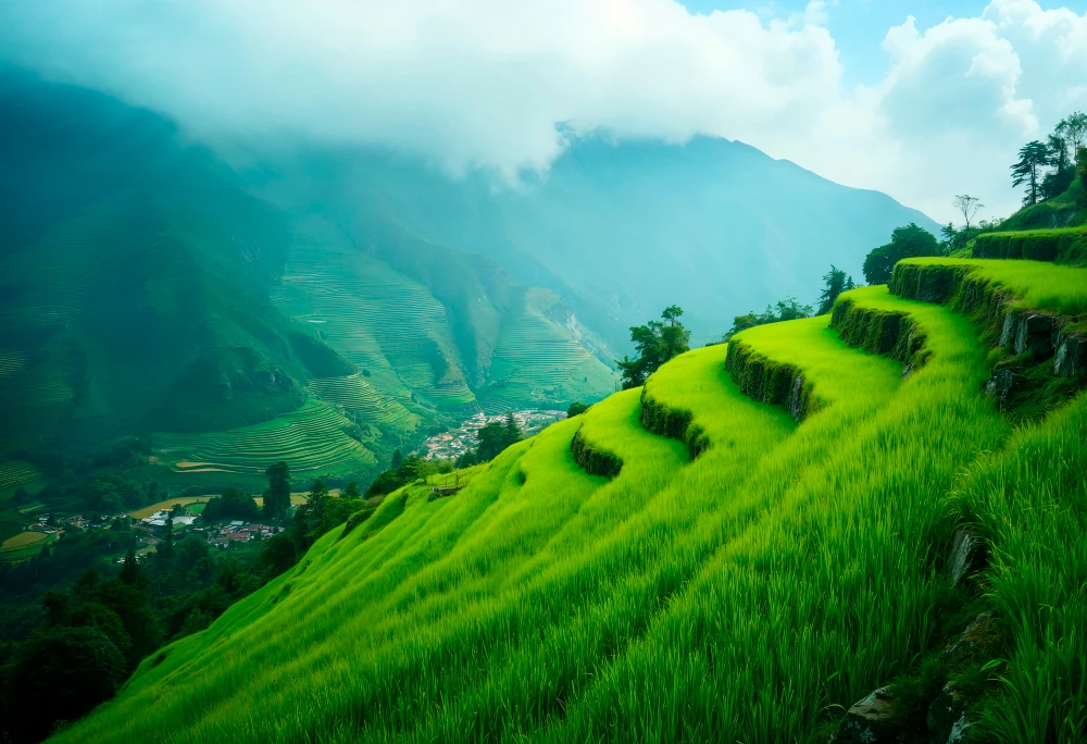 Munnar’s Cool Escape: A Misty Haven Amid Kerala’s Rising Heat