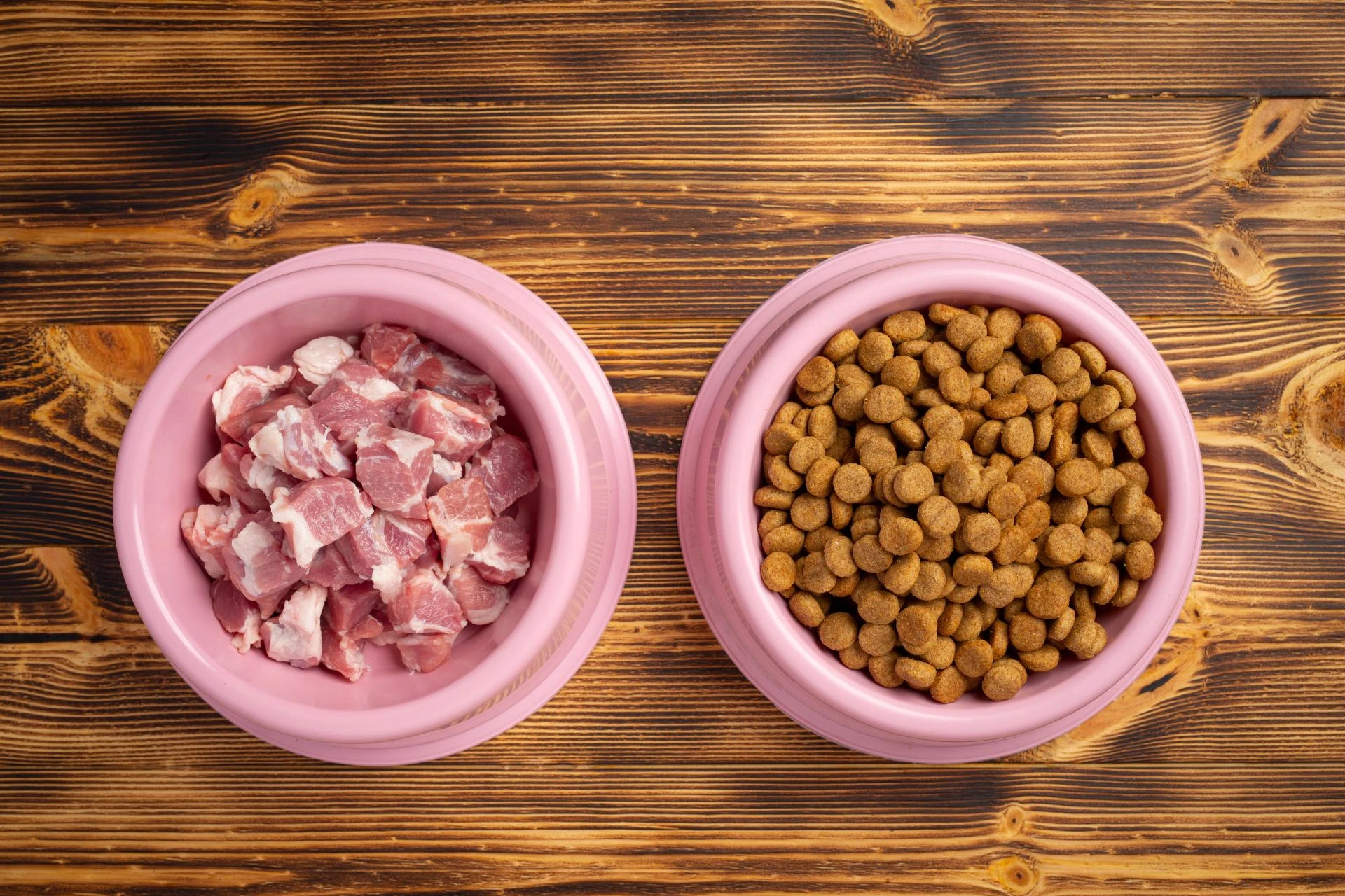 Elevating the Meal: Why Human-Grade Dog Food is Worth the Investment